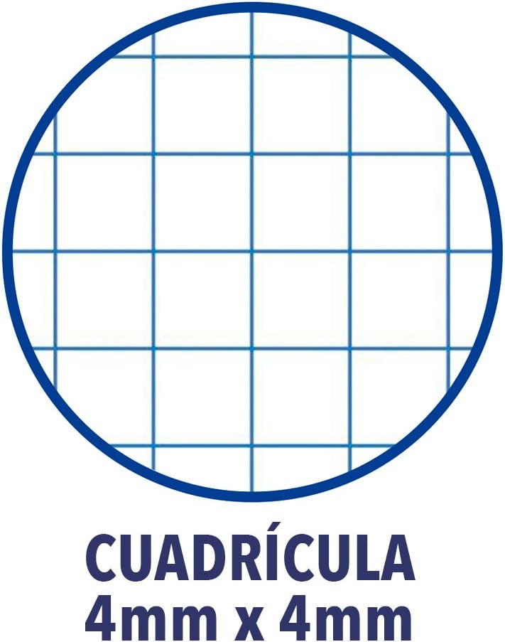 Recambio Oxford - Imagen 2