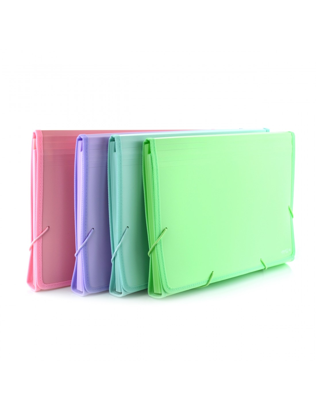 Carpeta Clasificadora 12 Divisiones A4